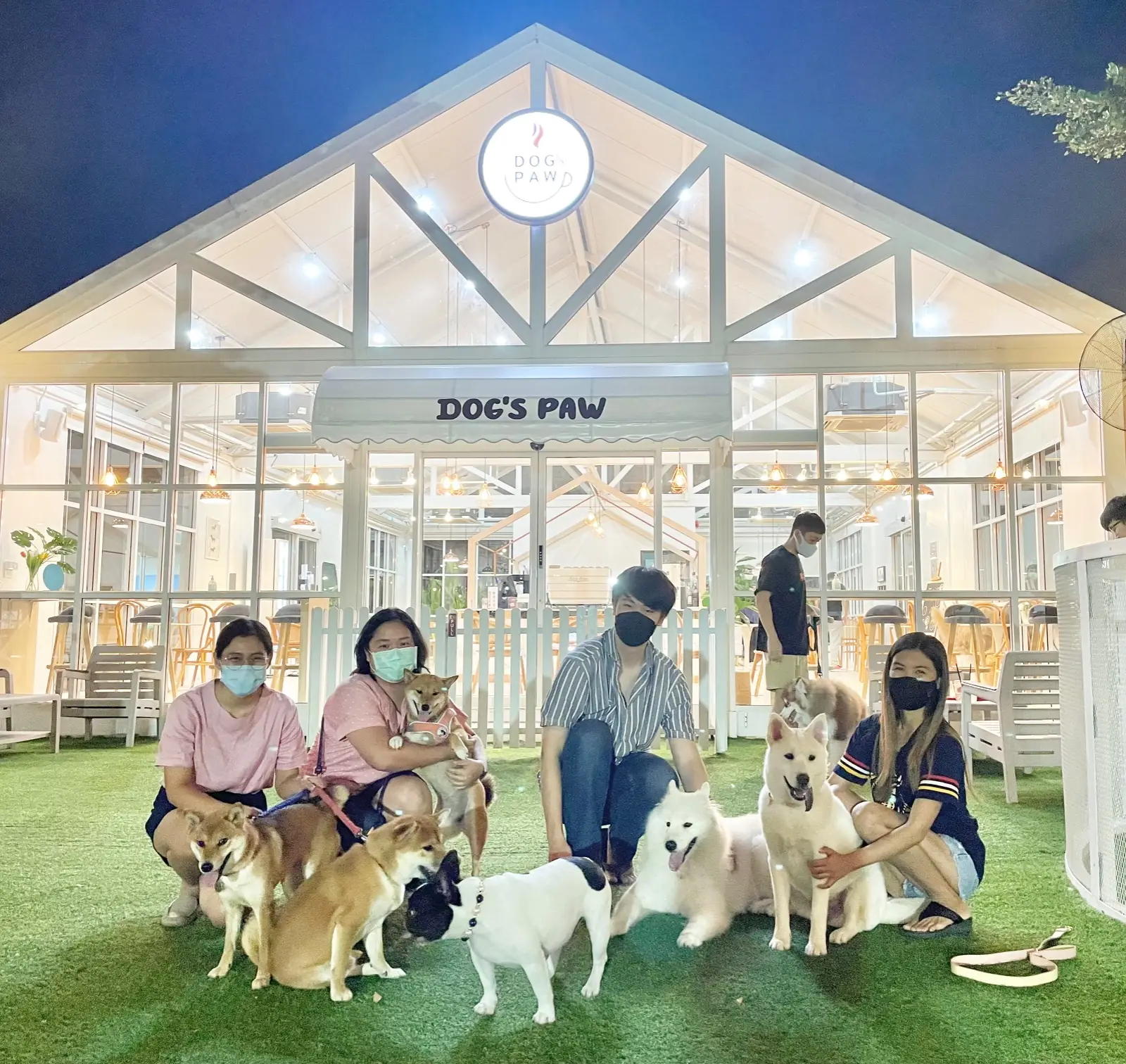 Dog's Paw overall image 1