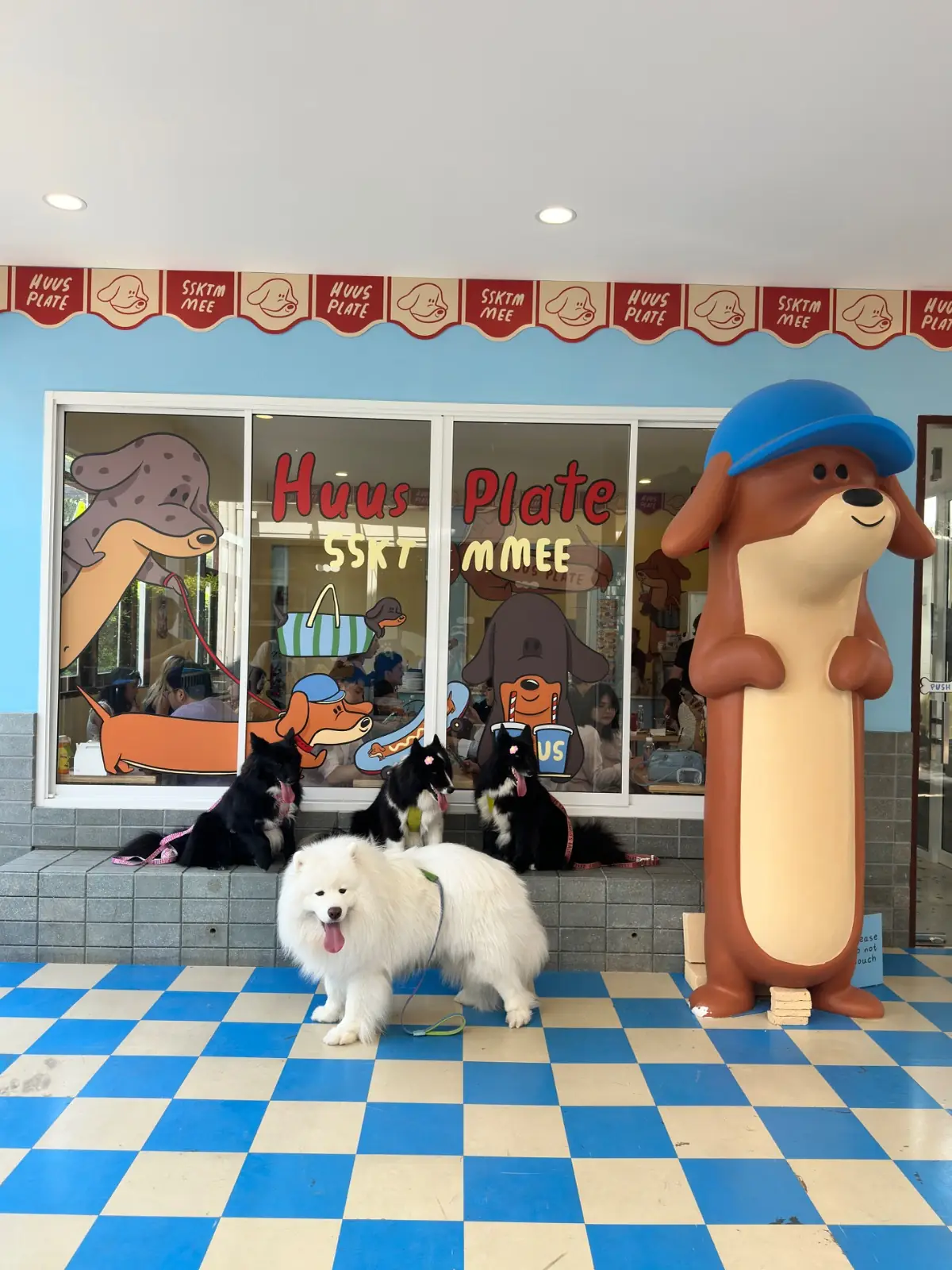 Dog's Paw pets image 5