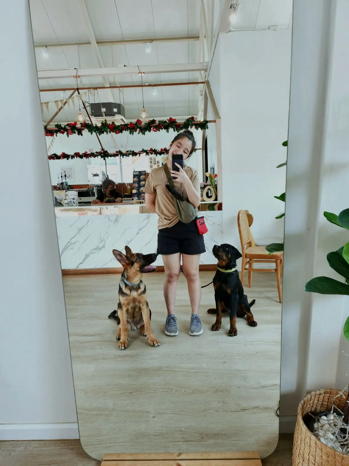 Dog's Paw pets image 7