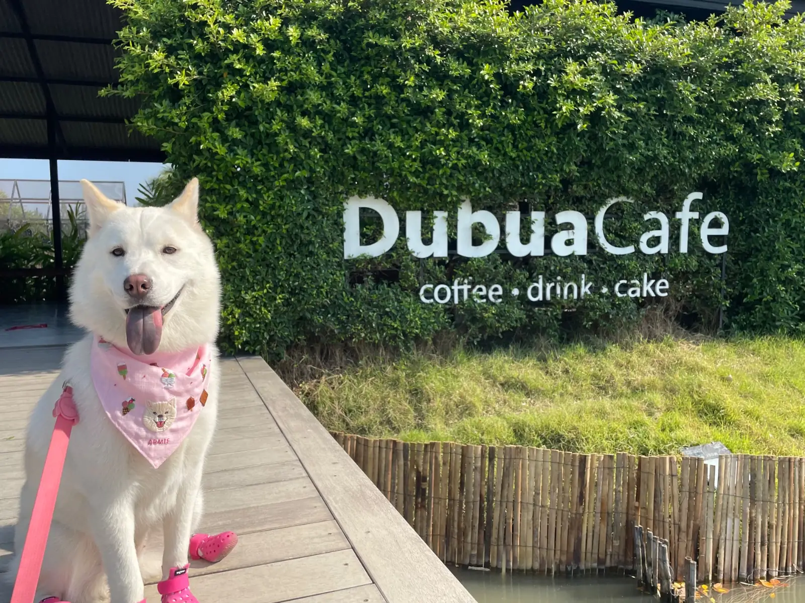 Dubua Cafe & Farm pets image 2