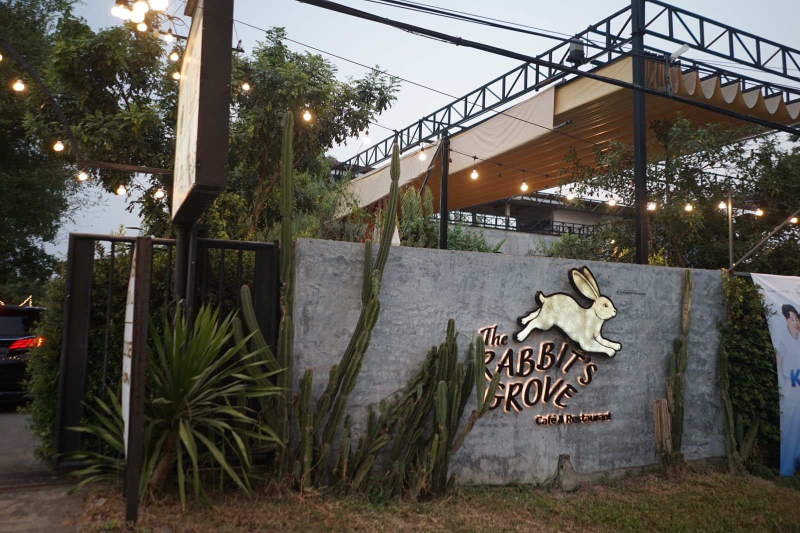 The Rabbit's Grove hero image 7