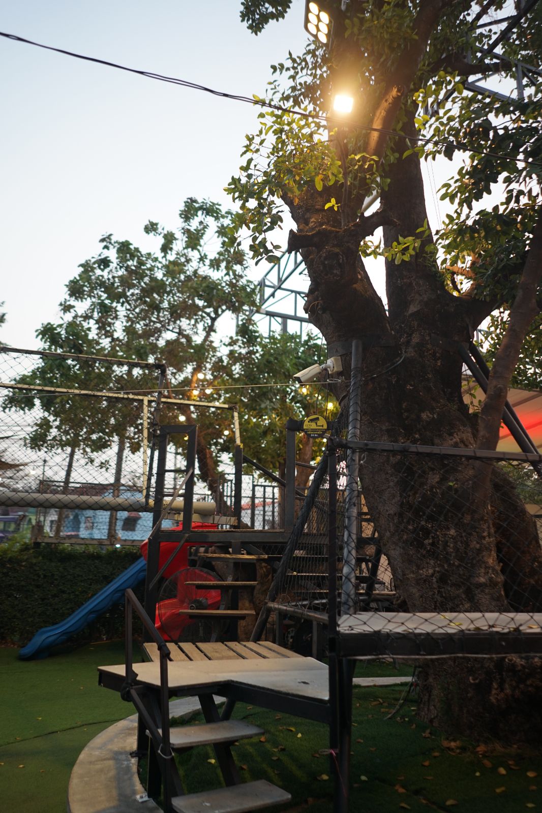 The Rabbit's Grove ambiance image 6