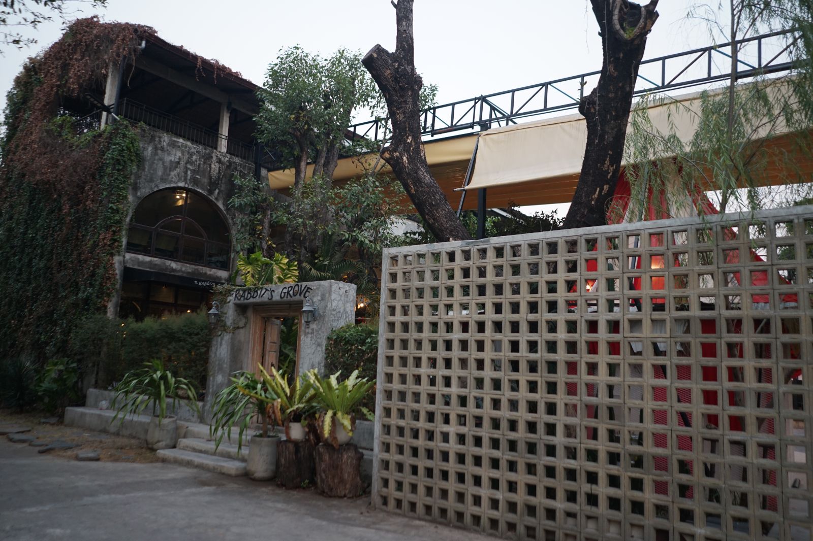 The Rabbit's Grove ambiance image 18