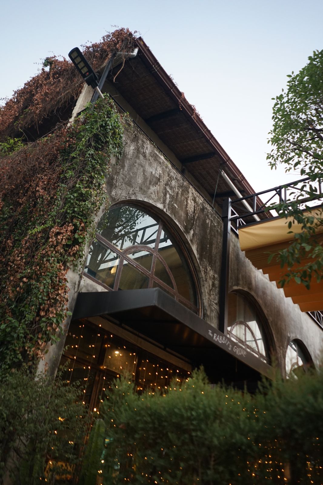 The Rabbit's Grove ambiance image 4