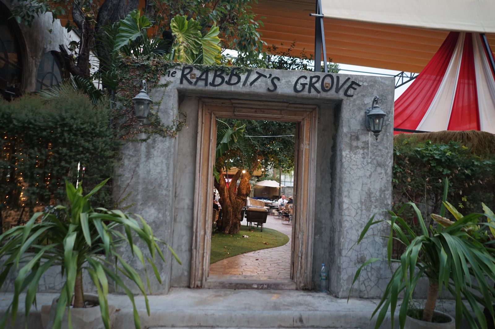 The Rabbit's Grove ambiance image 2