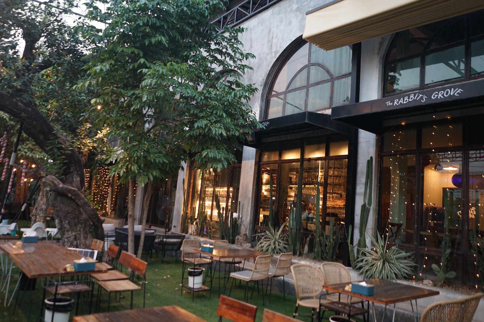 The Rabbit's Grove hero image 4