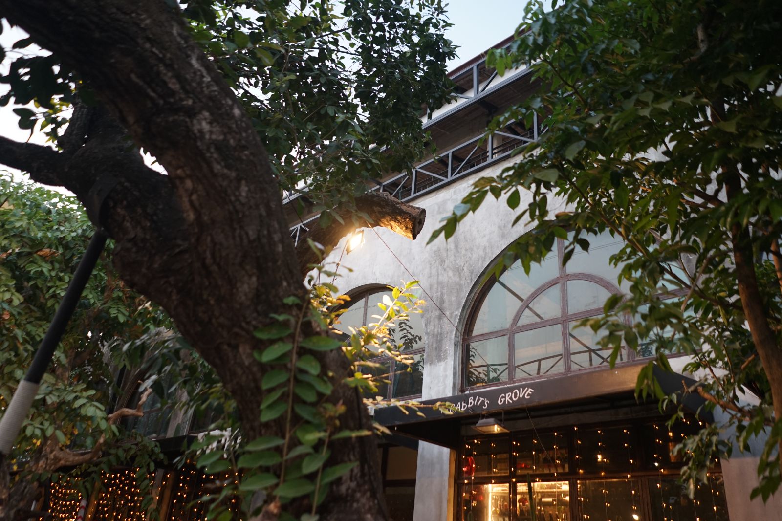 The Rabbit's Grove ambiance image 11