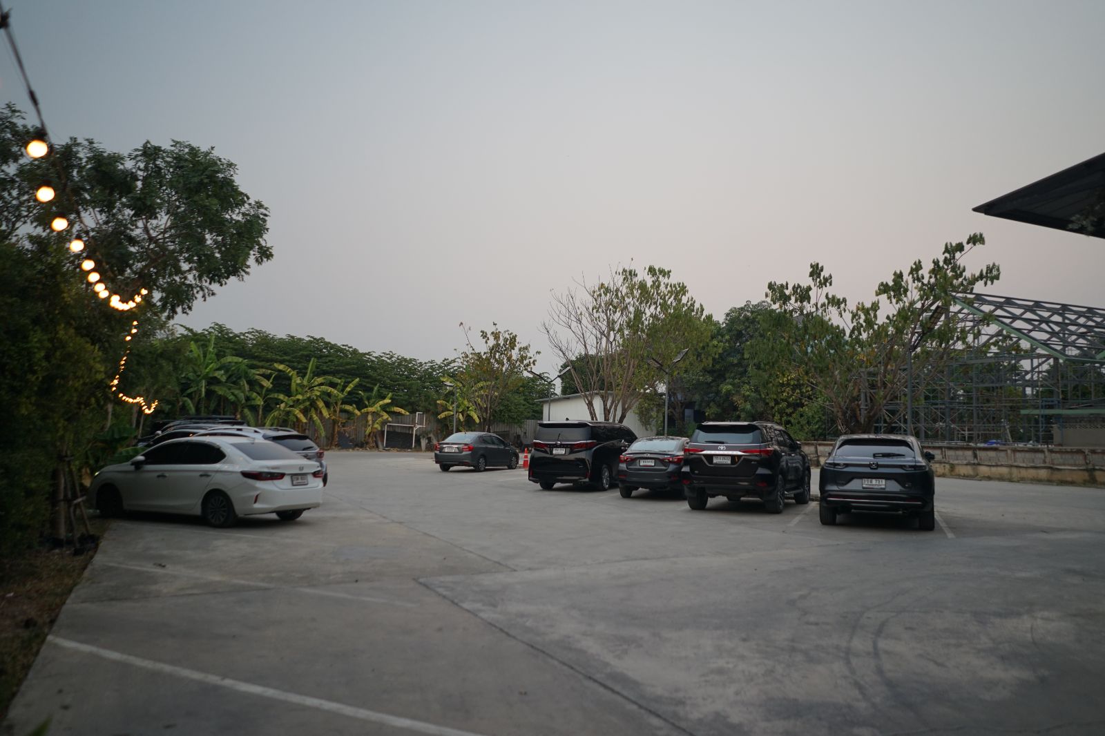 The Rabbit's Grove ambiance image 24