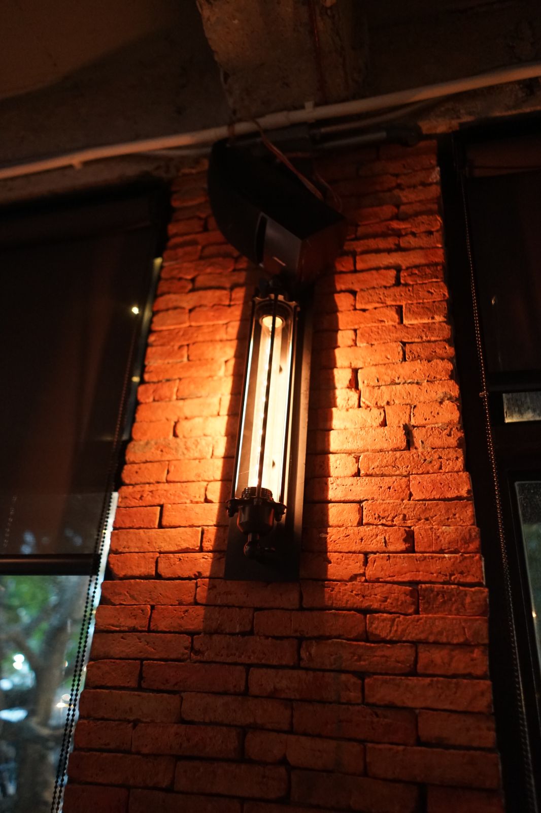 The Rabbit's Grove ambiance image 19