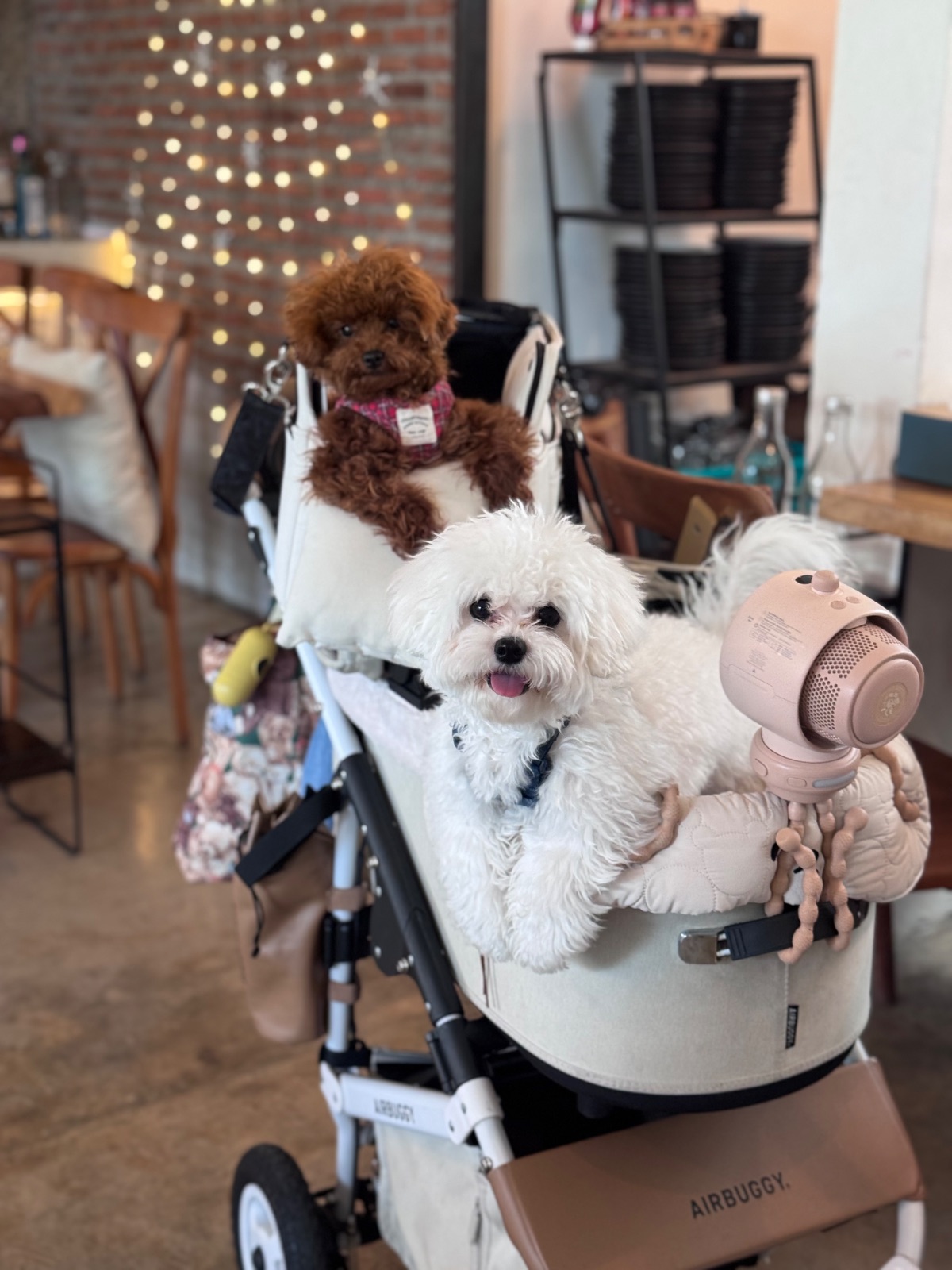 The Rabbit's Grove pets image 4