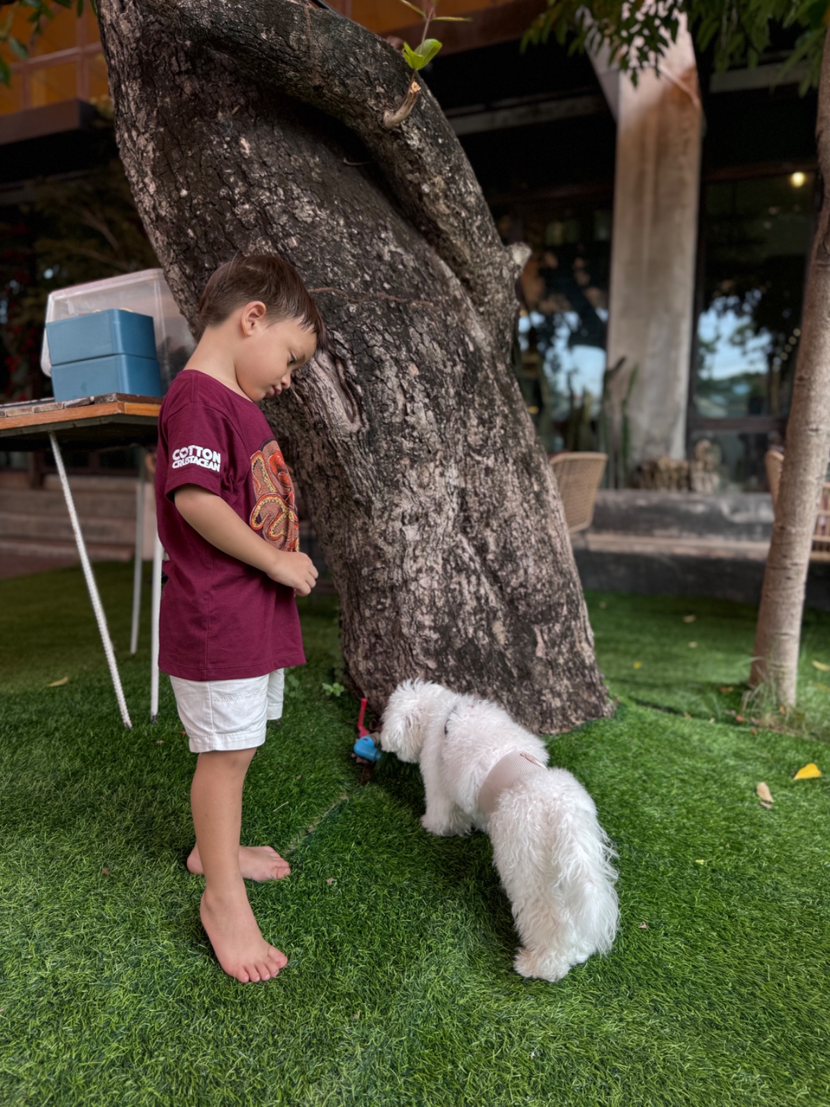 The Rabbit's Grove pets image 3