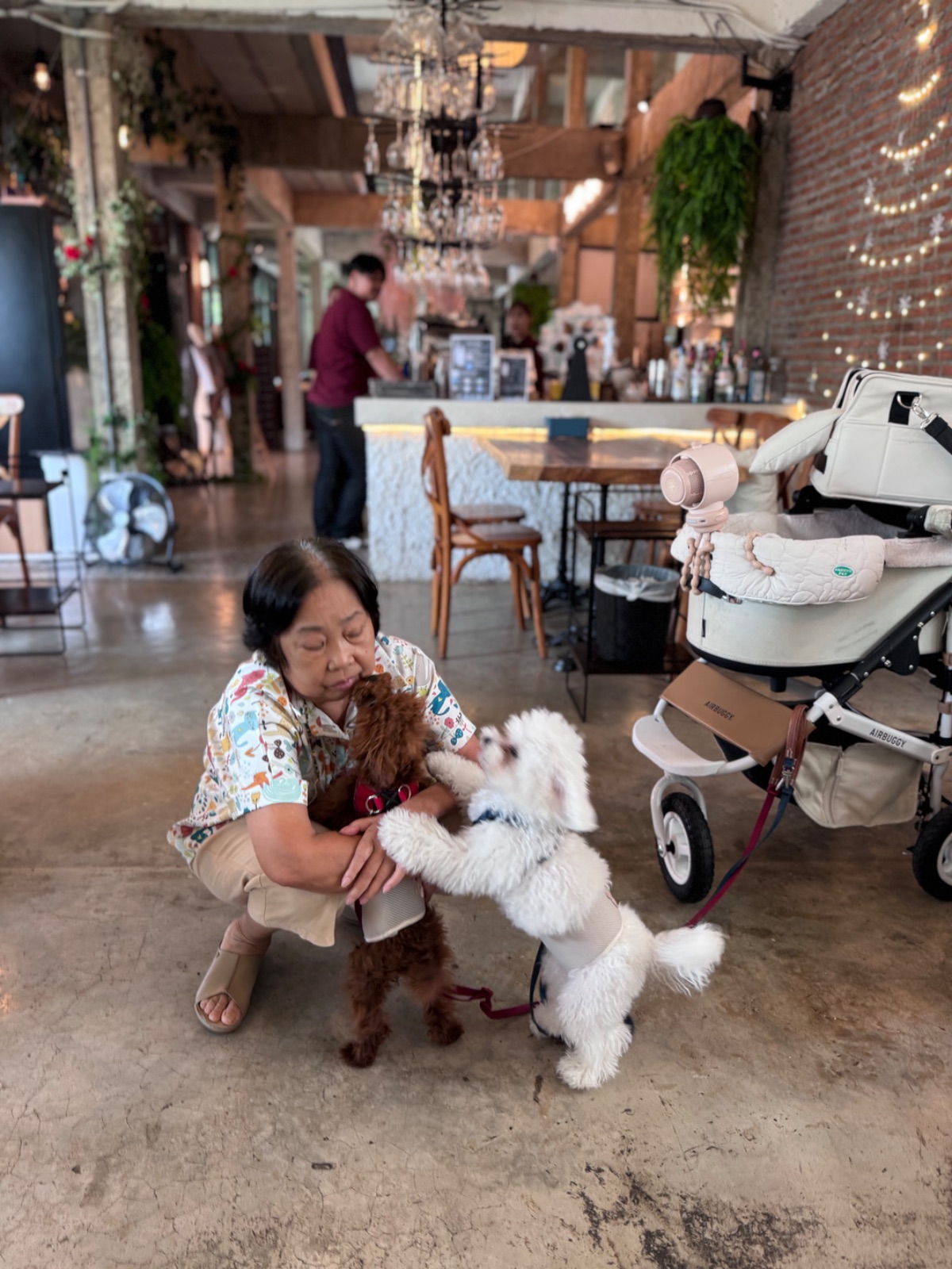 The Rabbit's Grove pets image 5