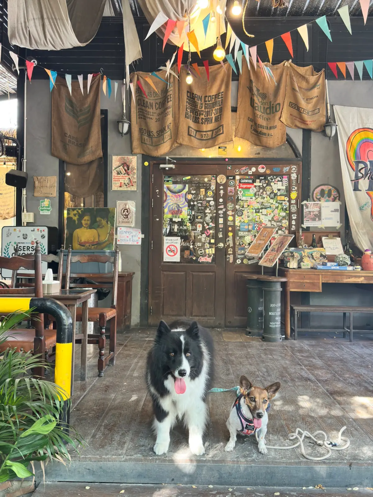 Sheeva Cafe Pattaya pets image 2