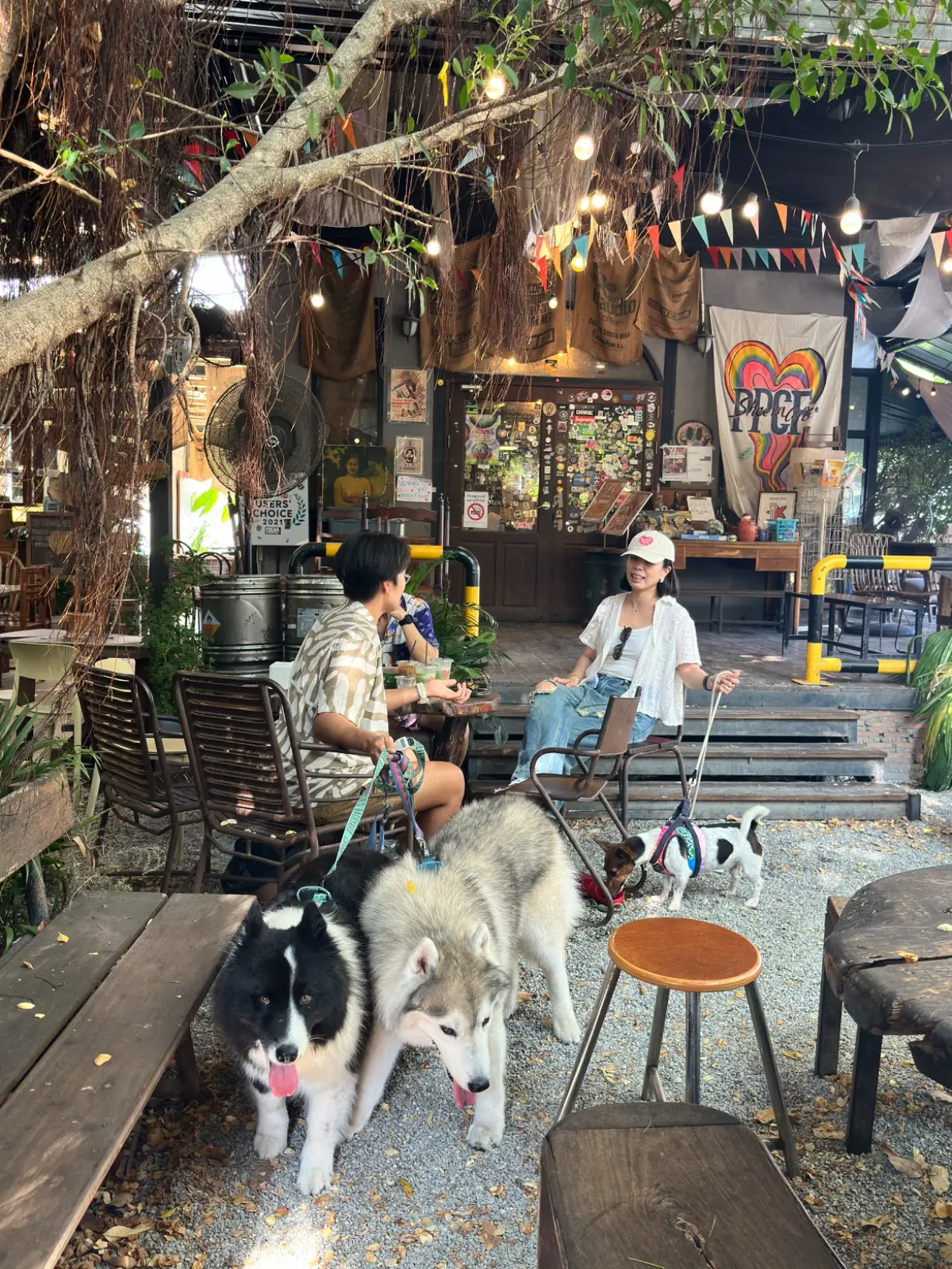 Sheeva Cafe Pattaya pets image 1