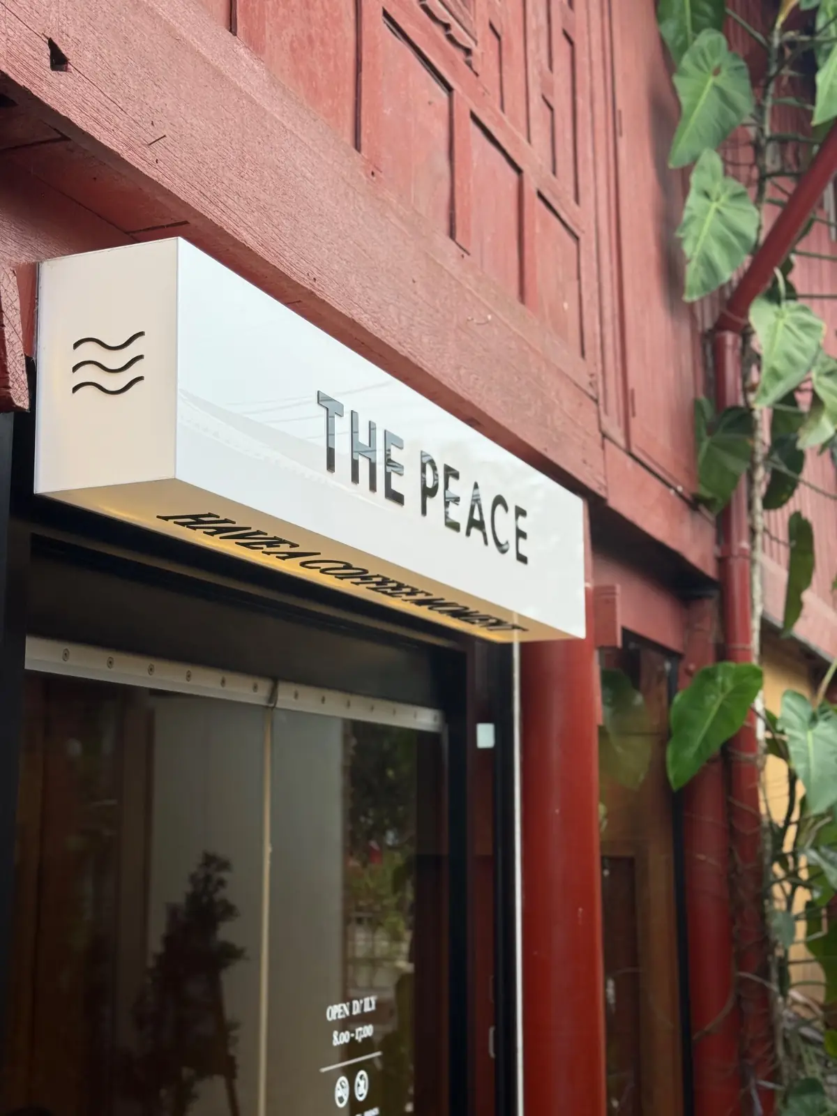 The Peace Coffee - Damnoensaduak overall image 2