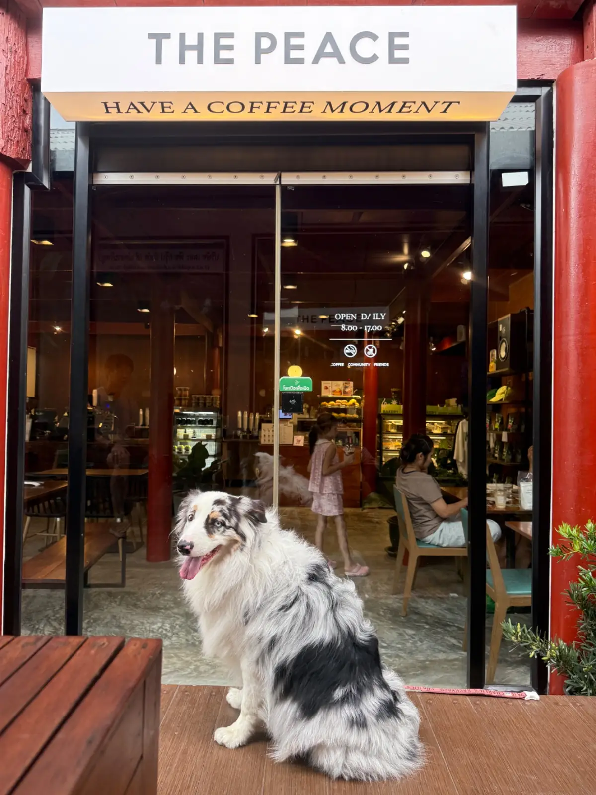The Peace Coffee - Damnoensaduak pets image 1