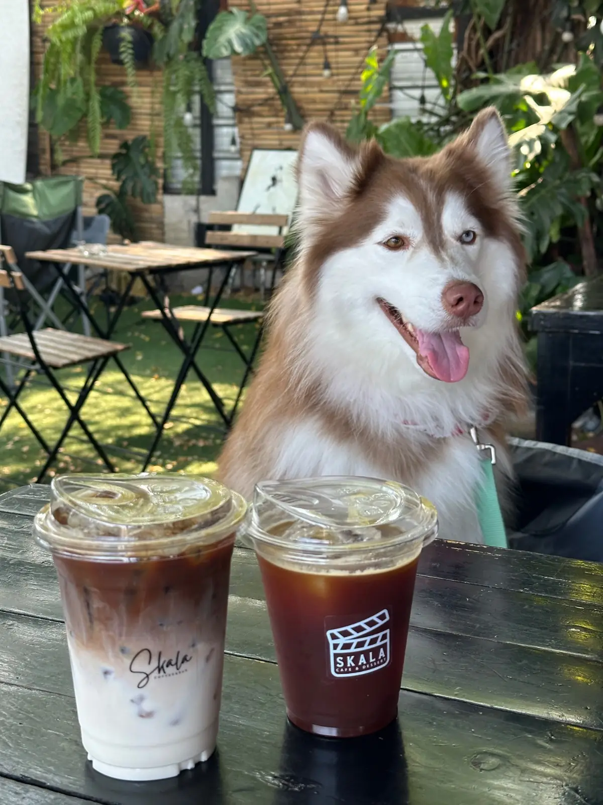 SkalaWalay' food image 2