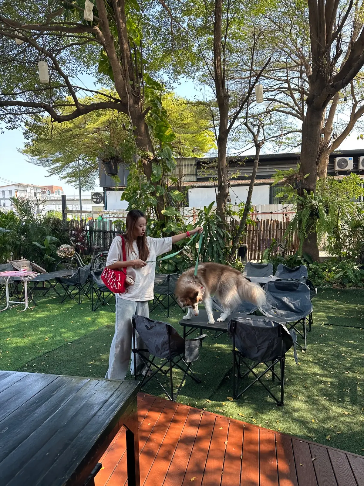 SkalaWalay' overall image 2