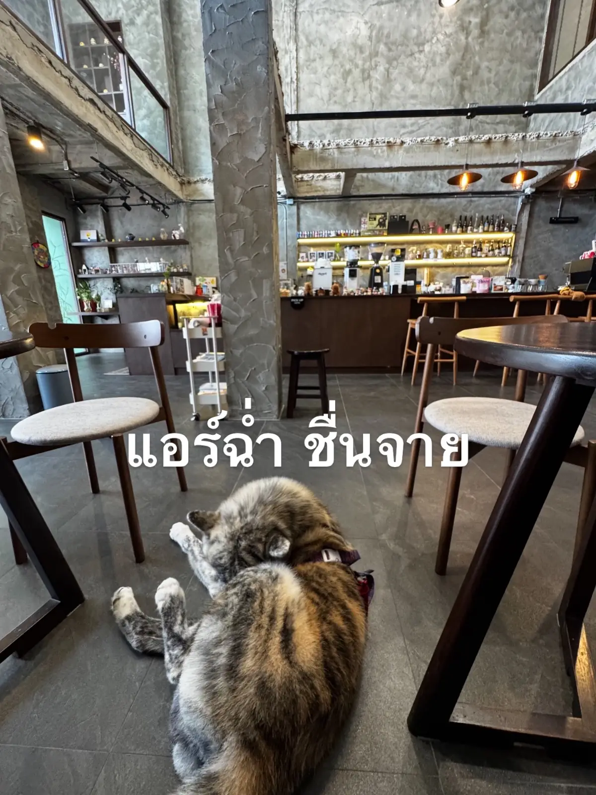 Somewhere Home Cafe ambiance image 1