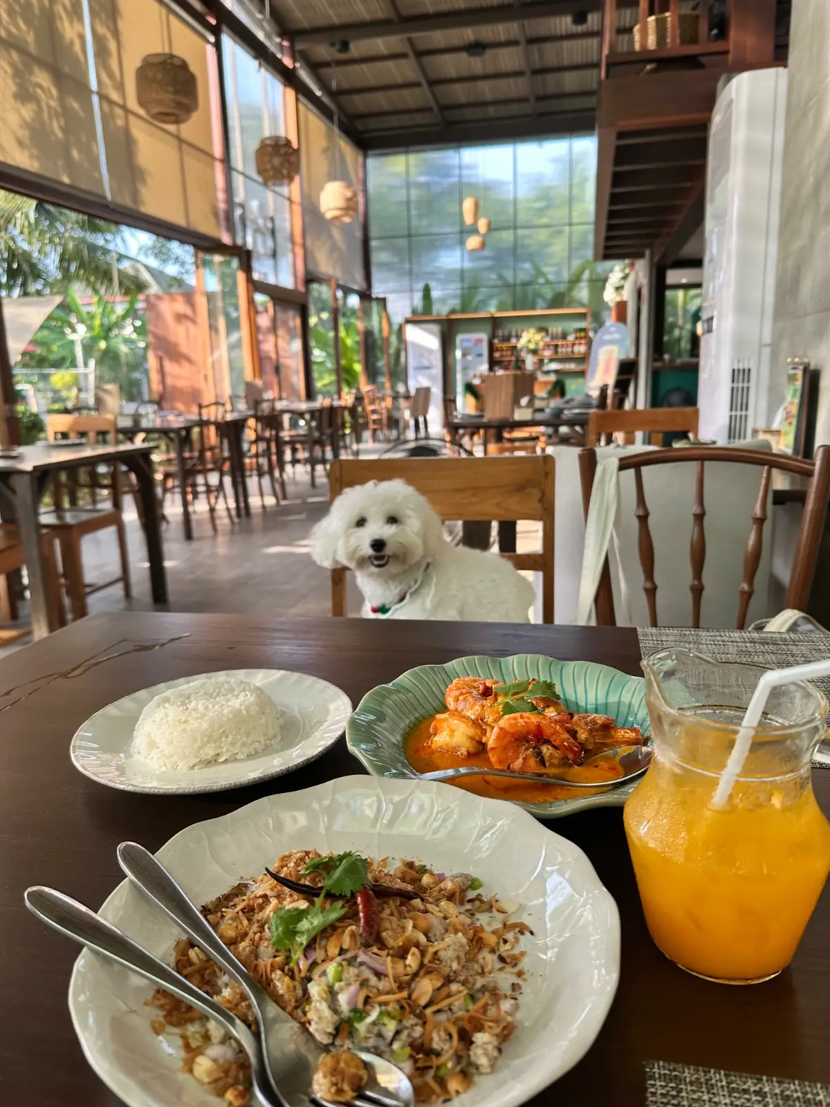 สรร pets image 3