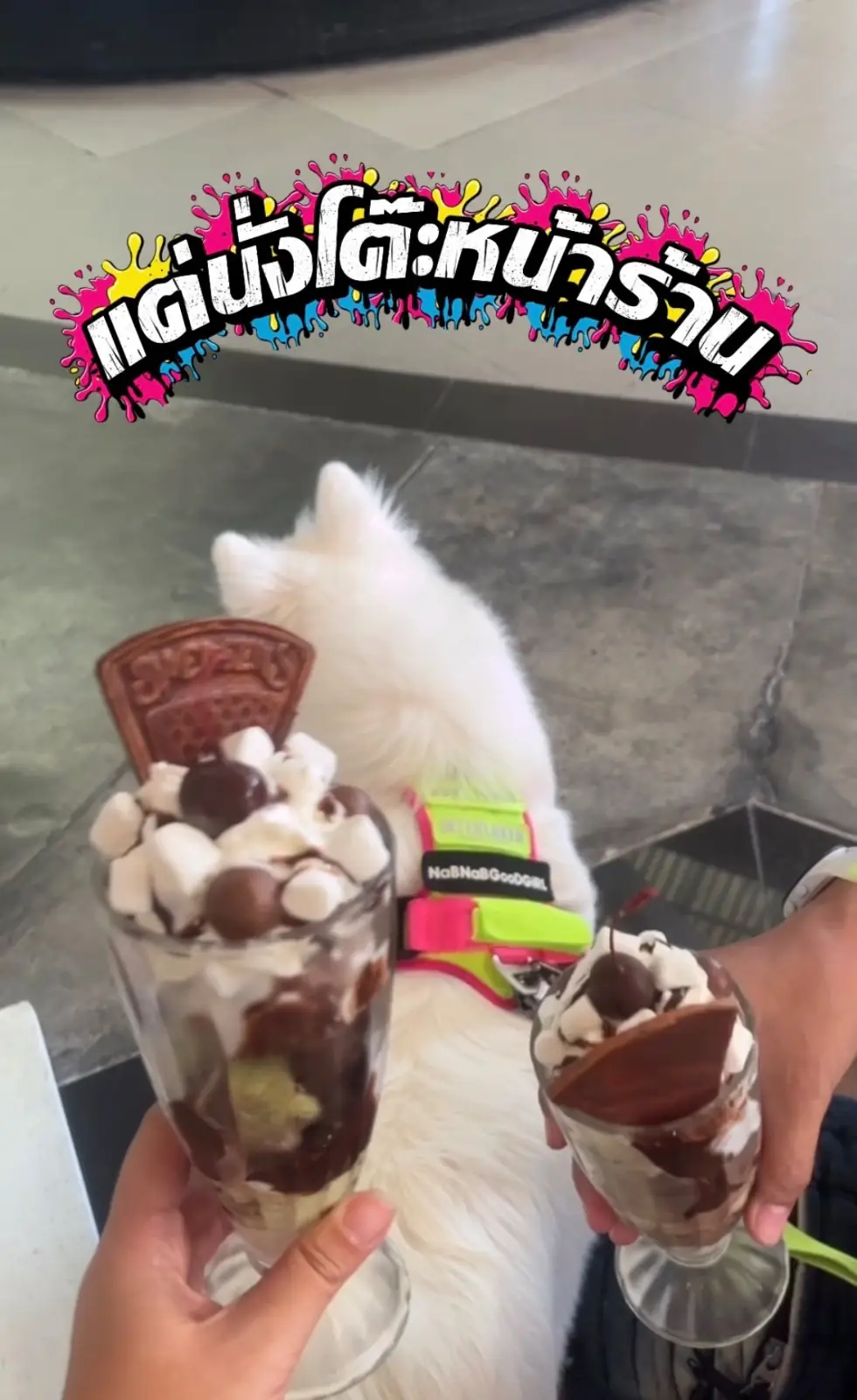 Swensen's - The Nine pets image 1