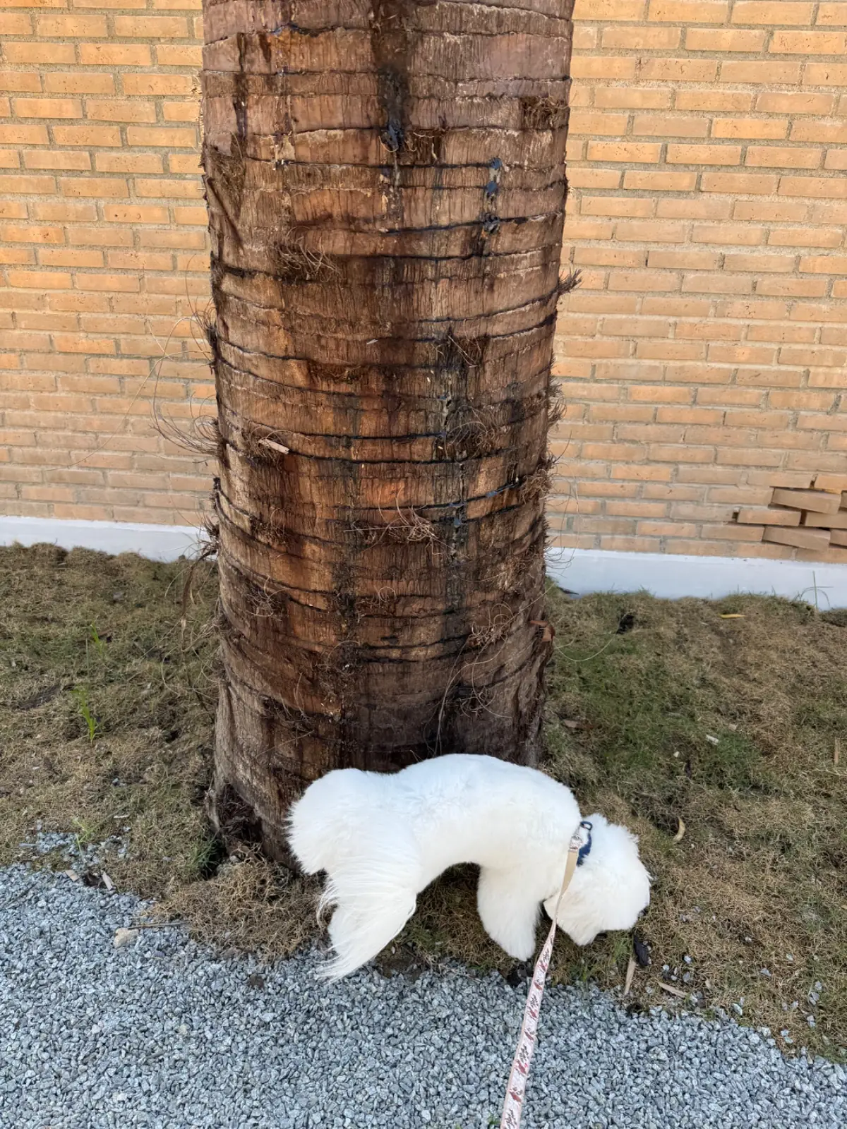 The Communes พุทธมณฑลสาย 4 other image 1