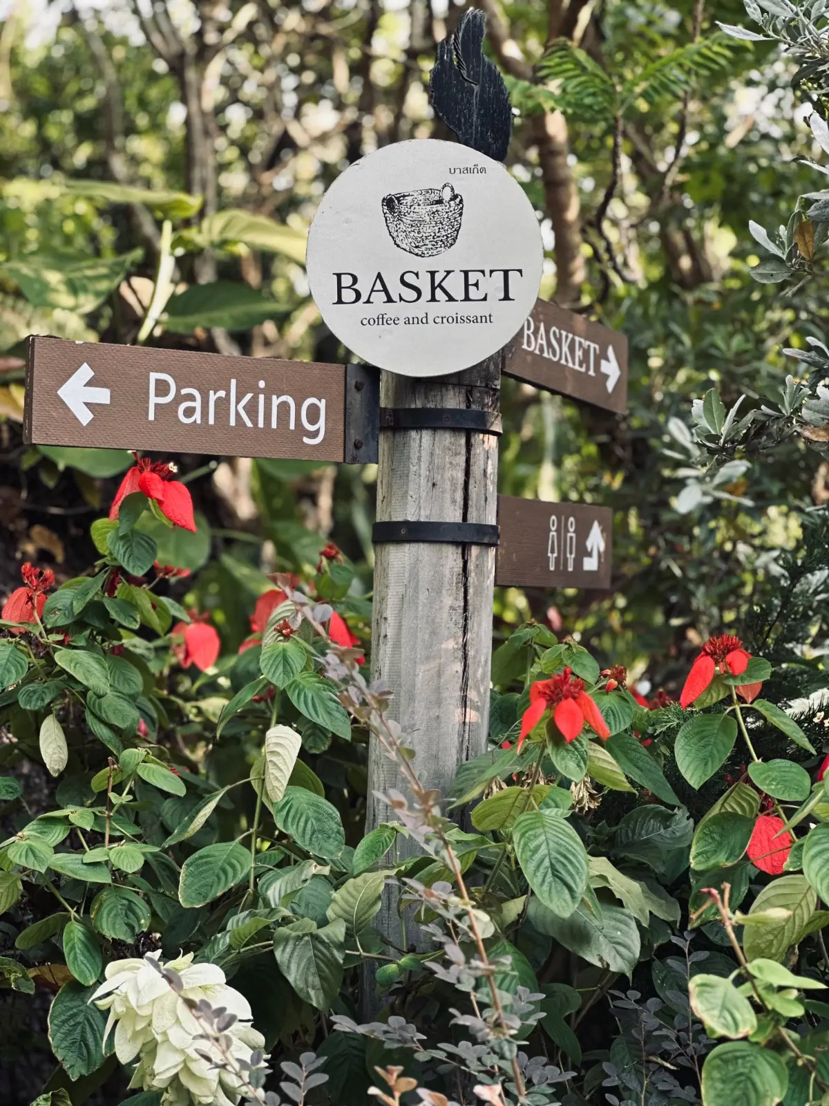 BASKET - coffee and croissant overall image 6