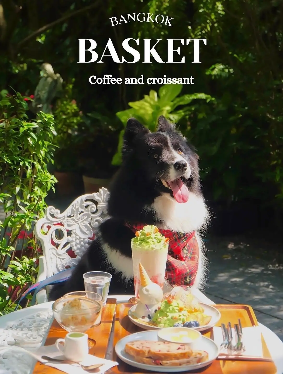 BASKET - coffee and croissant pets image 3