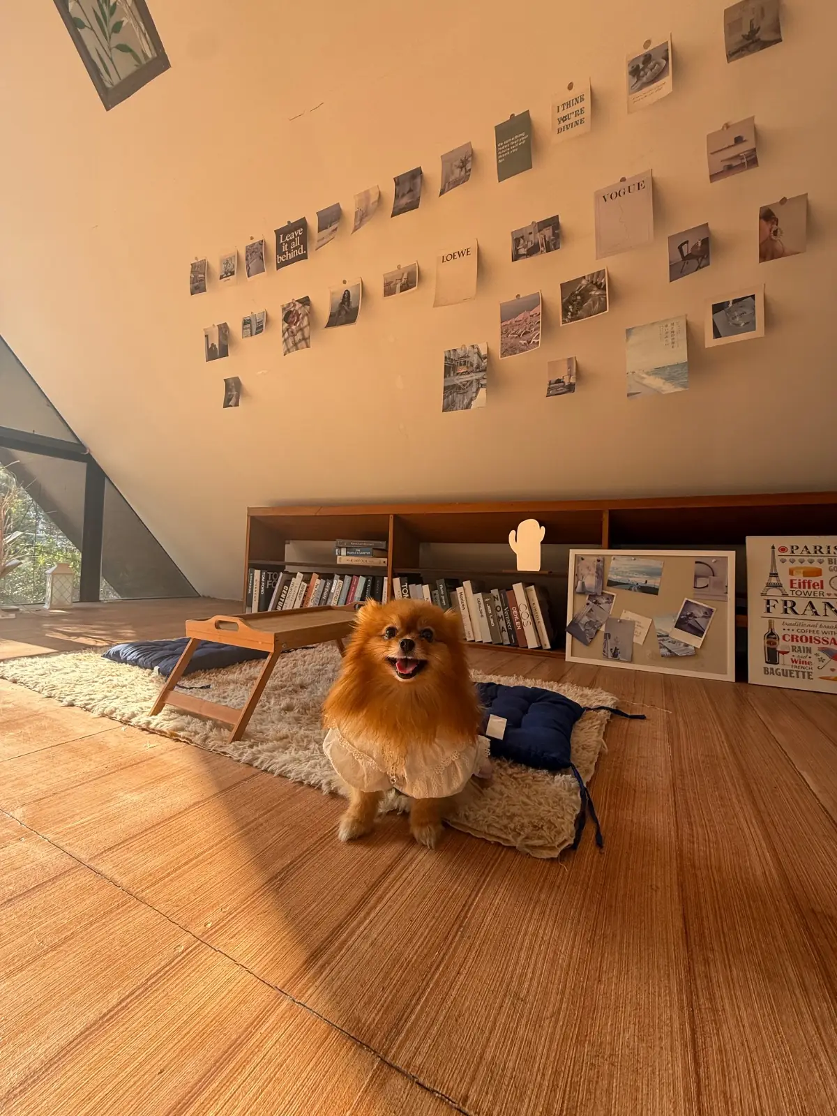 Hence Coffee & Eatery pets image 4