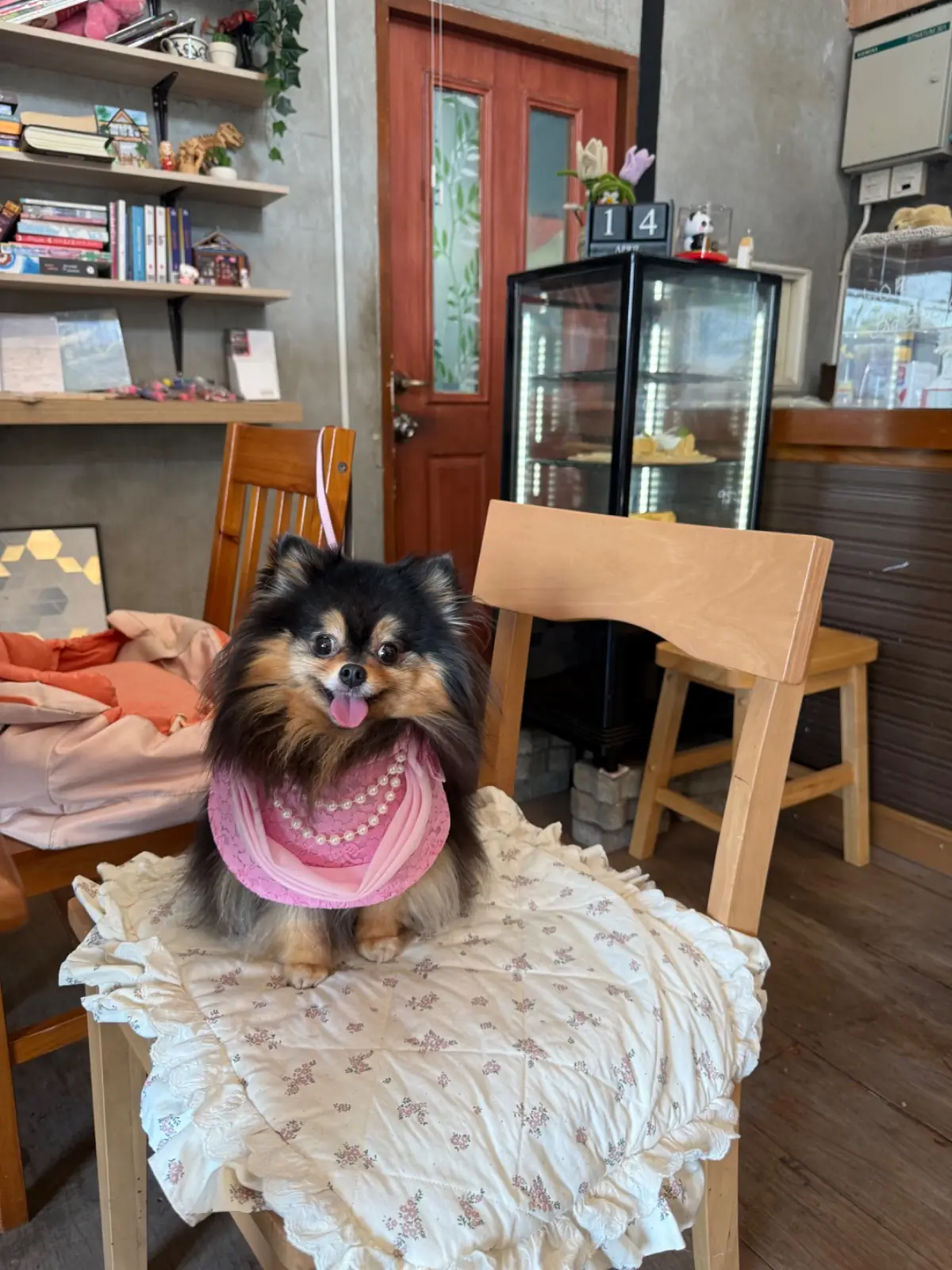 Hence Coffee & Eatery pets image 3