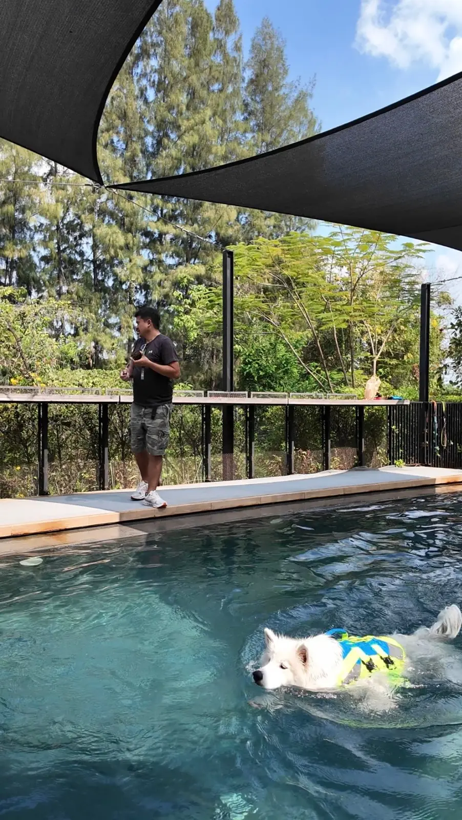 DOX House overall image 1