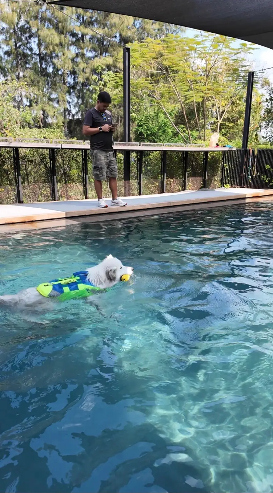 DOX House pets image 2