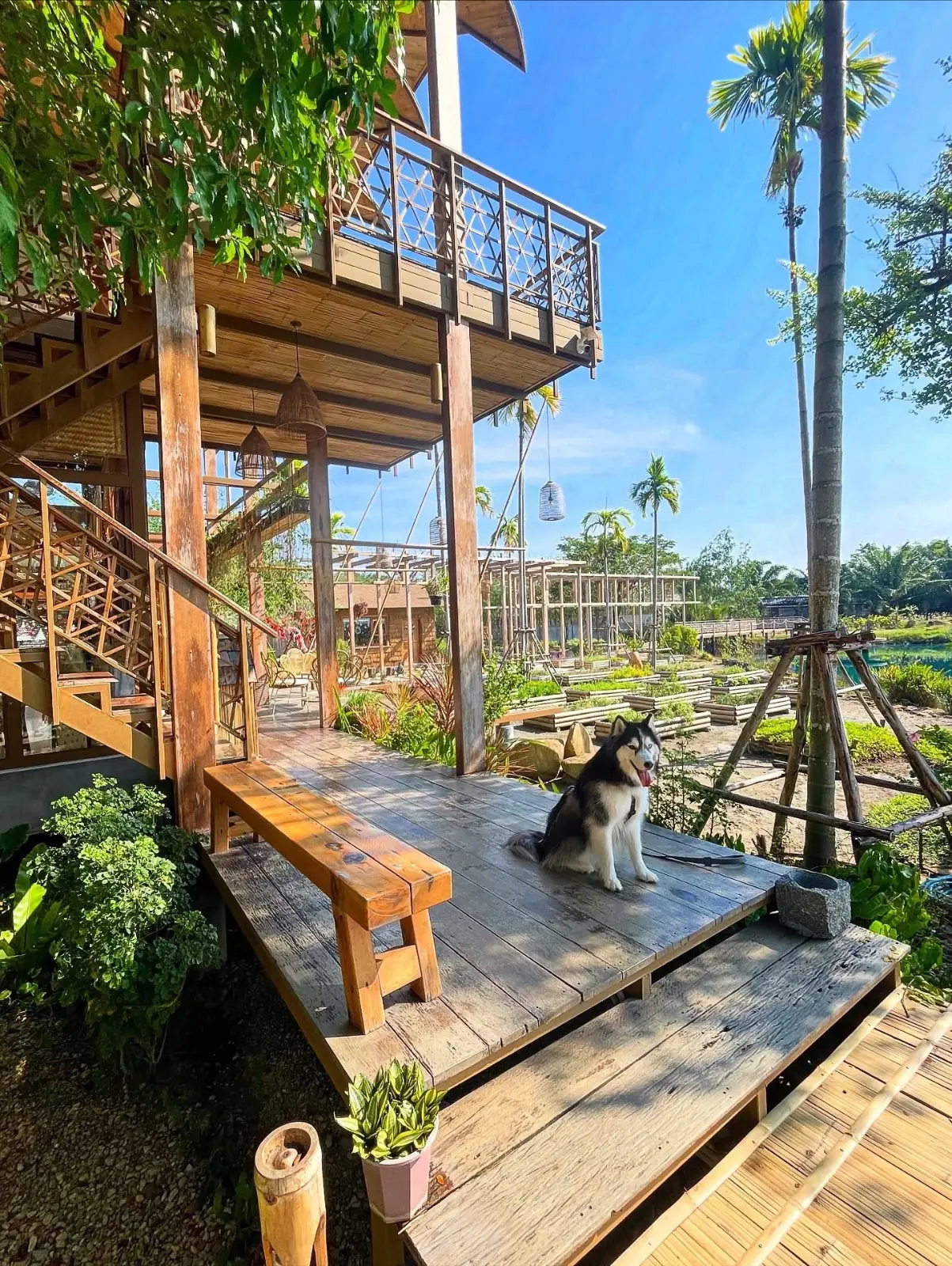 หอมดิน กลิ่นจันทร ambiance image 1