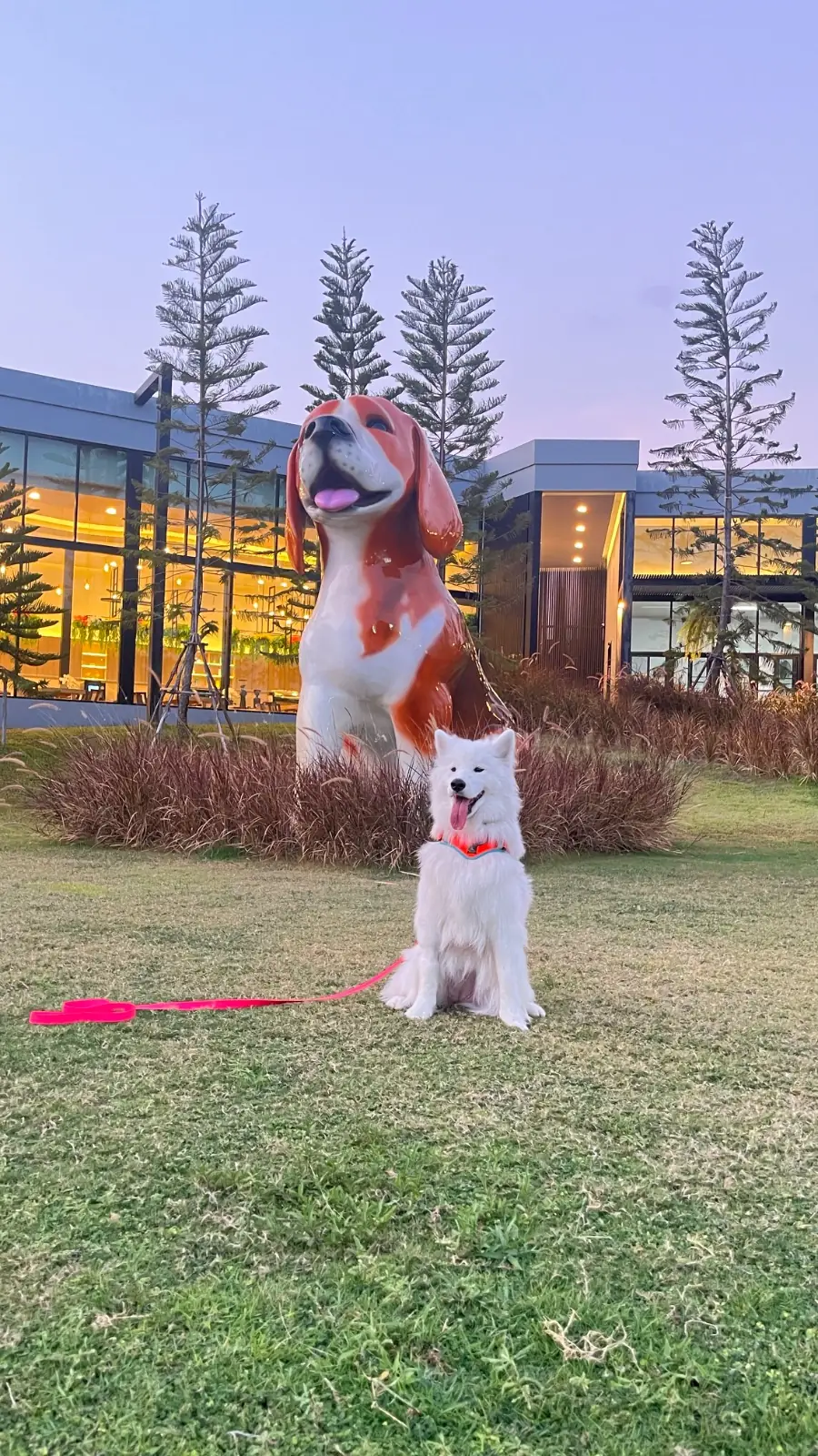 missyou a lot pets image 3