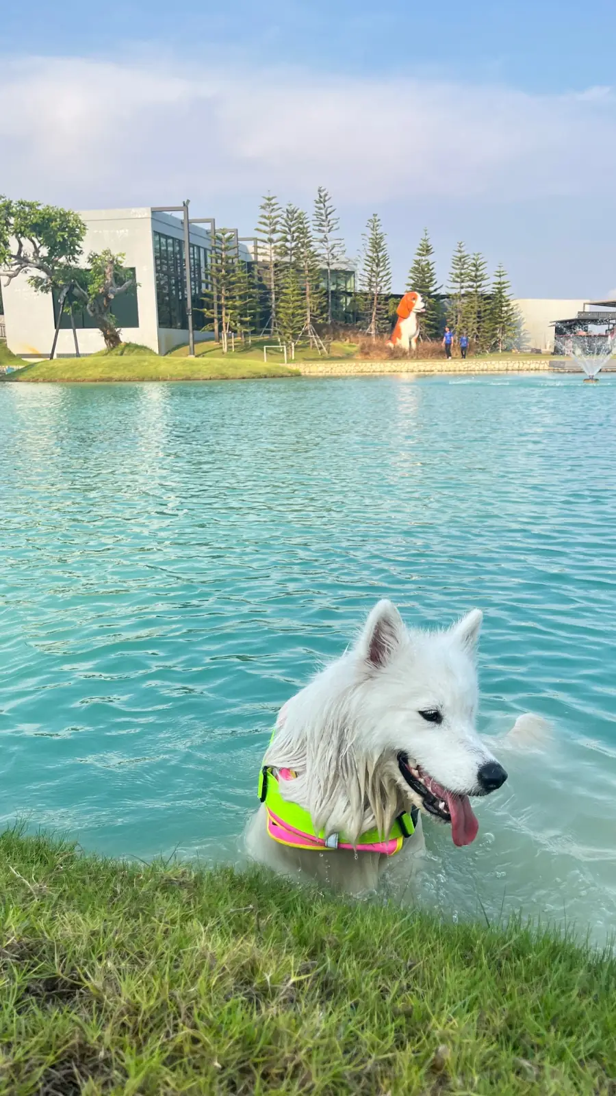 missyou a lot pets image 6