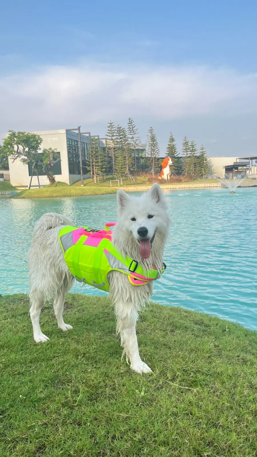 missyou a lot pets image 5