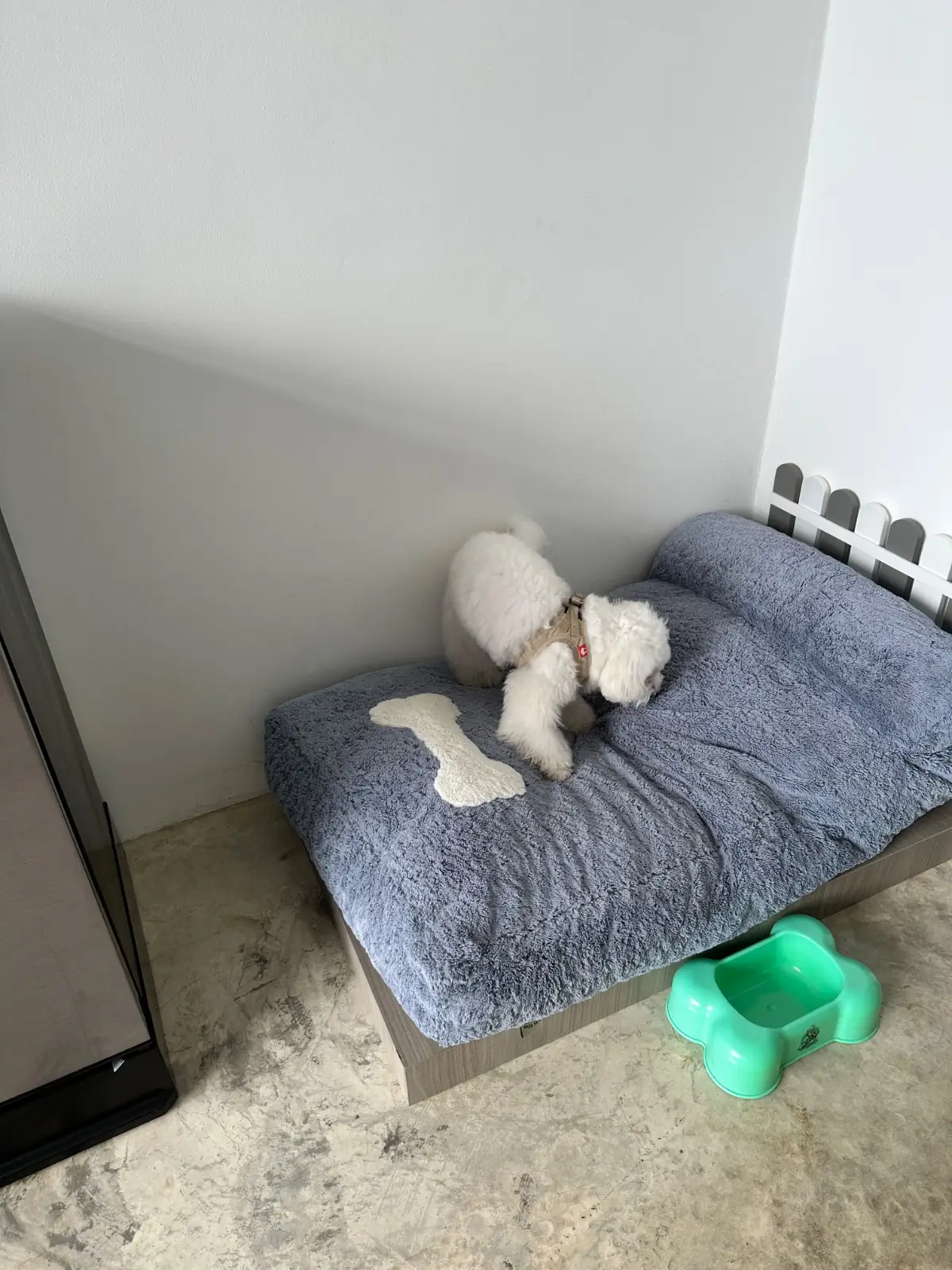 Miss You A Lot Resort pets image 9
