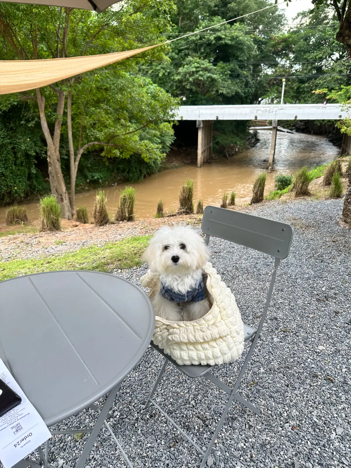 Doubleshot - Khaoyai pets image 3