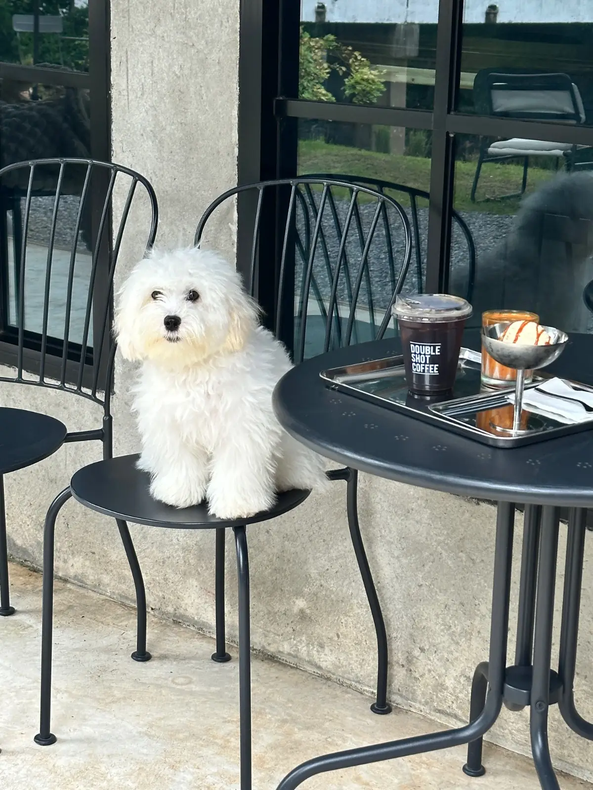 Doubleshot - Khaoyai pets image 1