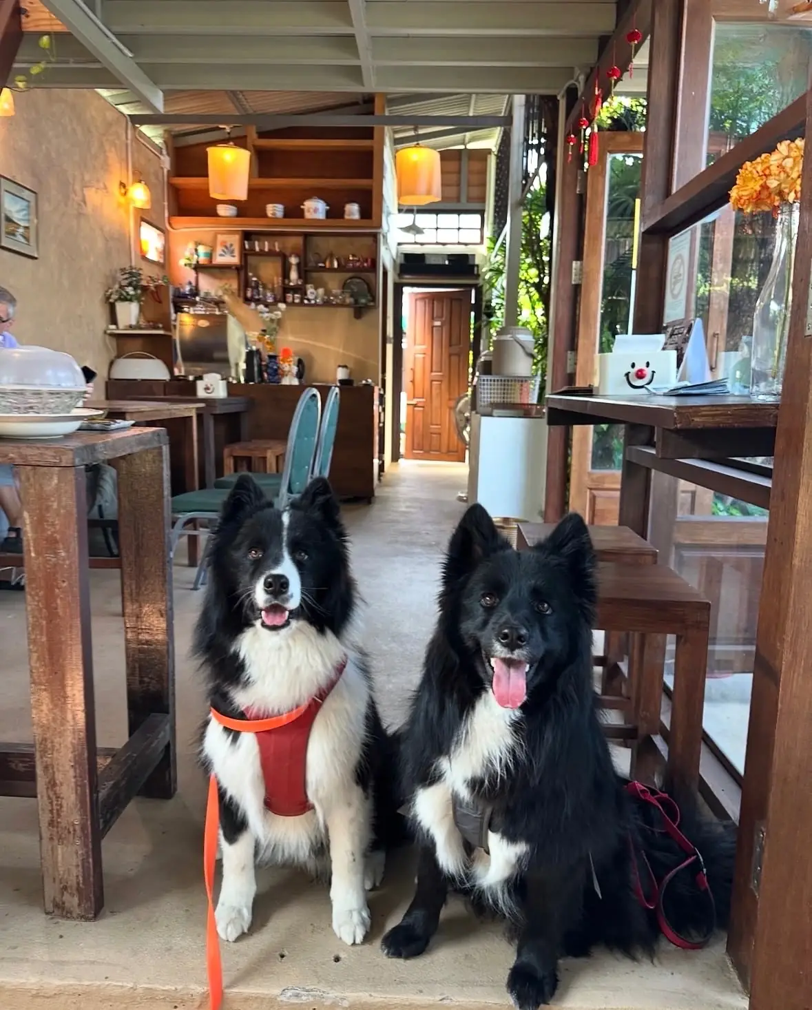 ข้าวซอยหลิ่งกอก pets image 2