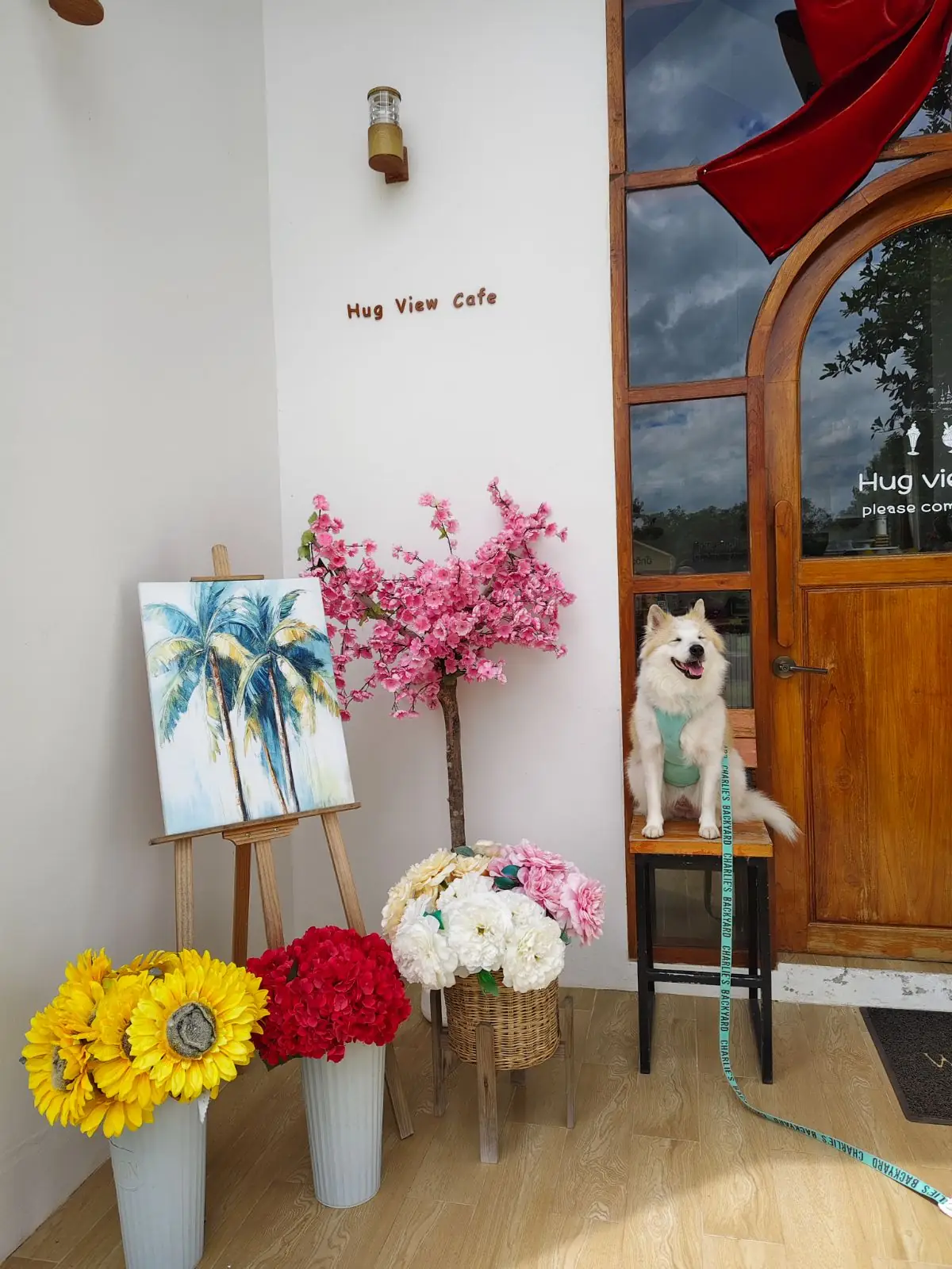 ฮักวิว คาเฟ่ pets image 1