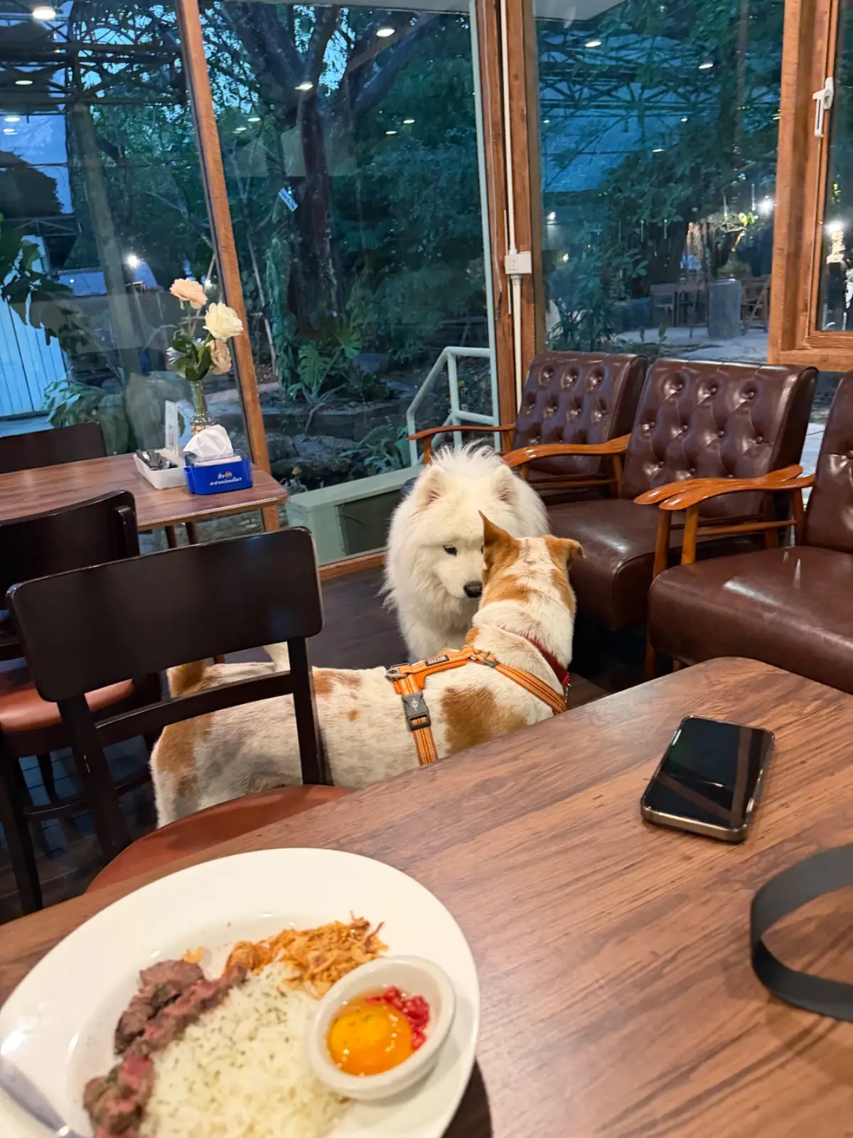 Immjai Eatery ambiance image 1