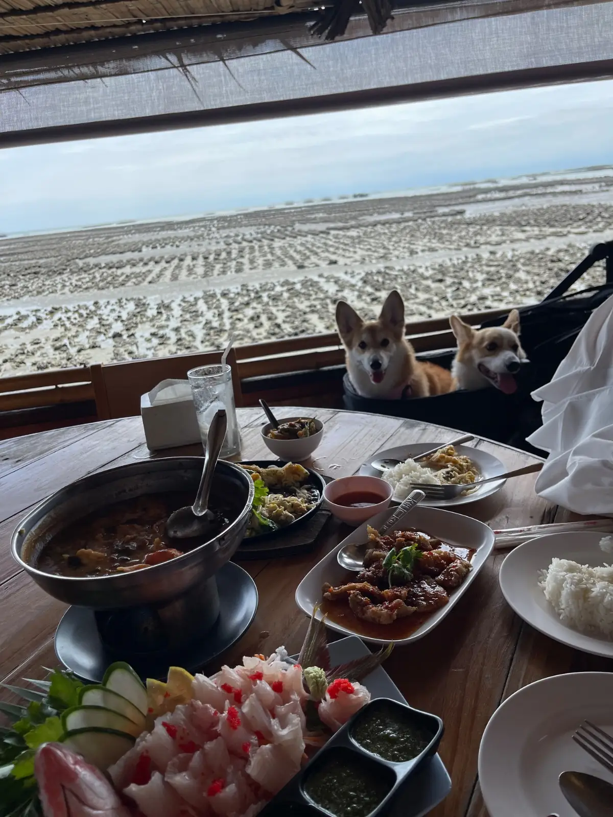 สุเมธซีฟู้ด & ยำ pets image 1