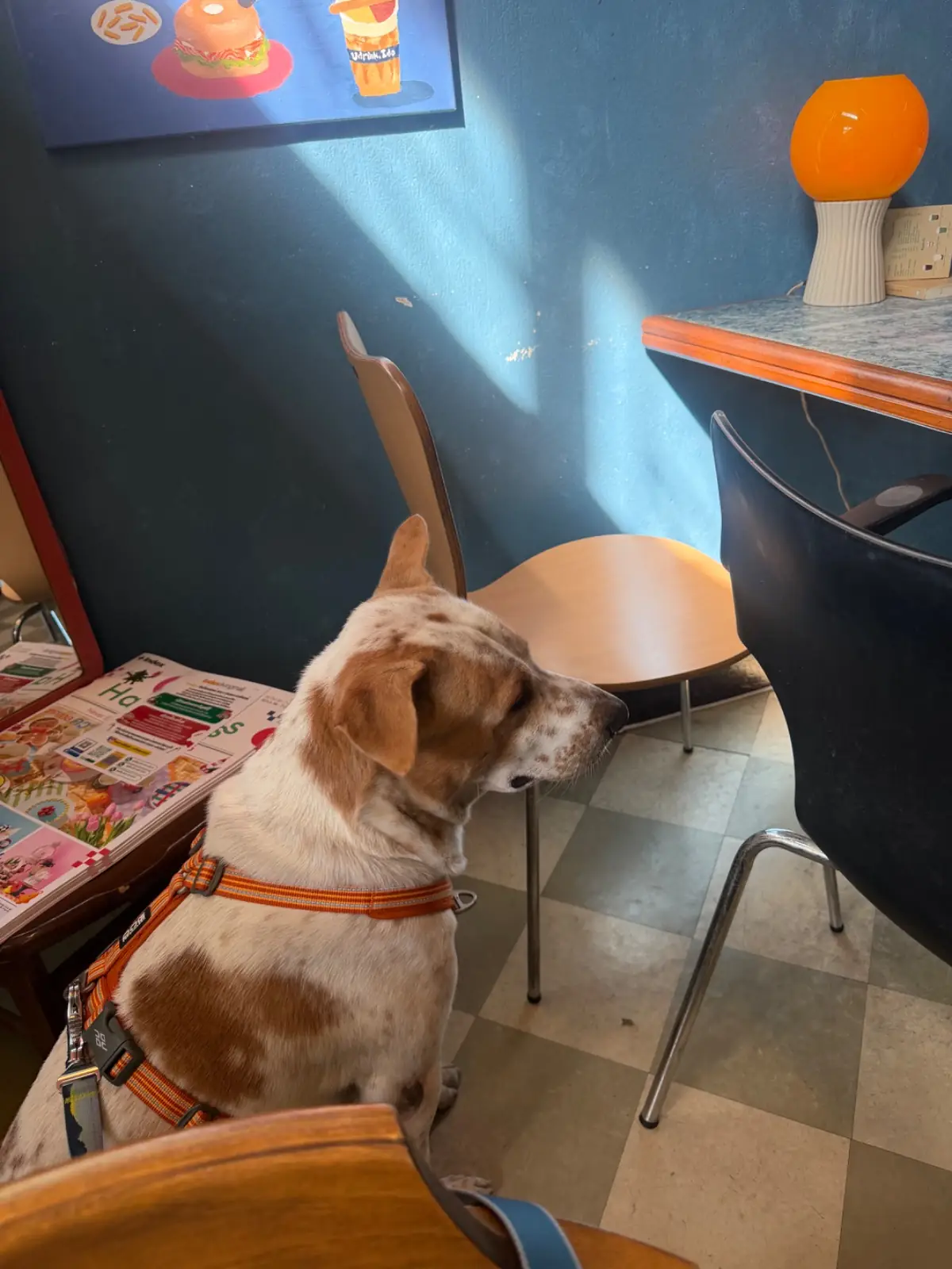 Tonkatsu AOKI - Velaa Sindhorn Village Langsuan pets image 5