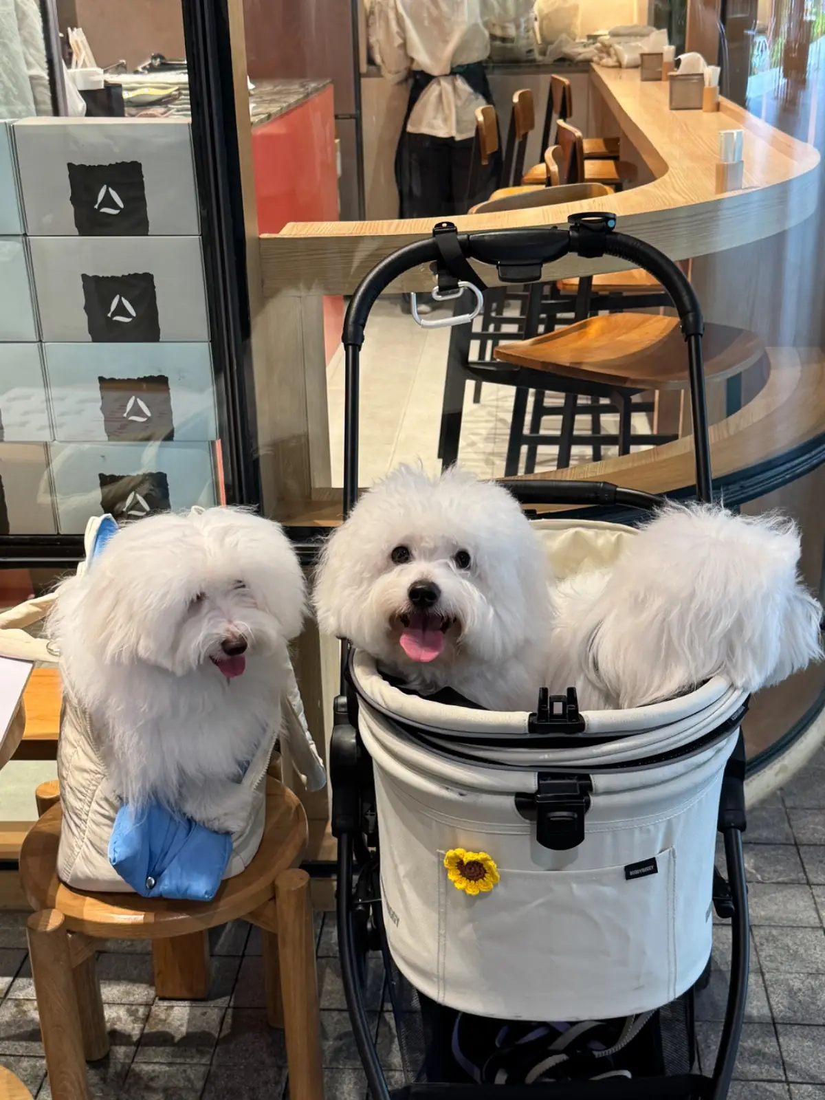 Nigiri Bar - King Square pets image 1