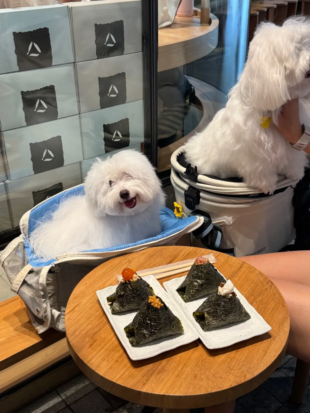 Nigiri Bar - King Square pets image 2