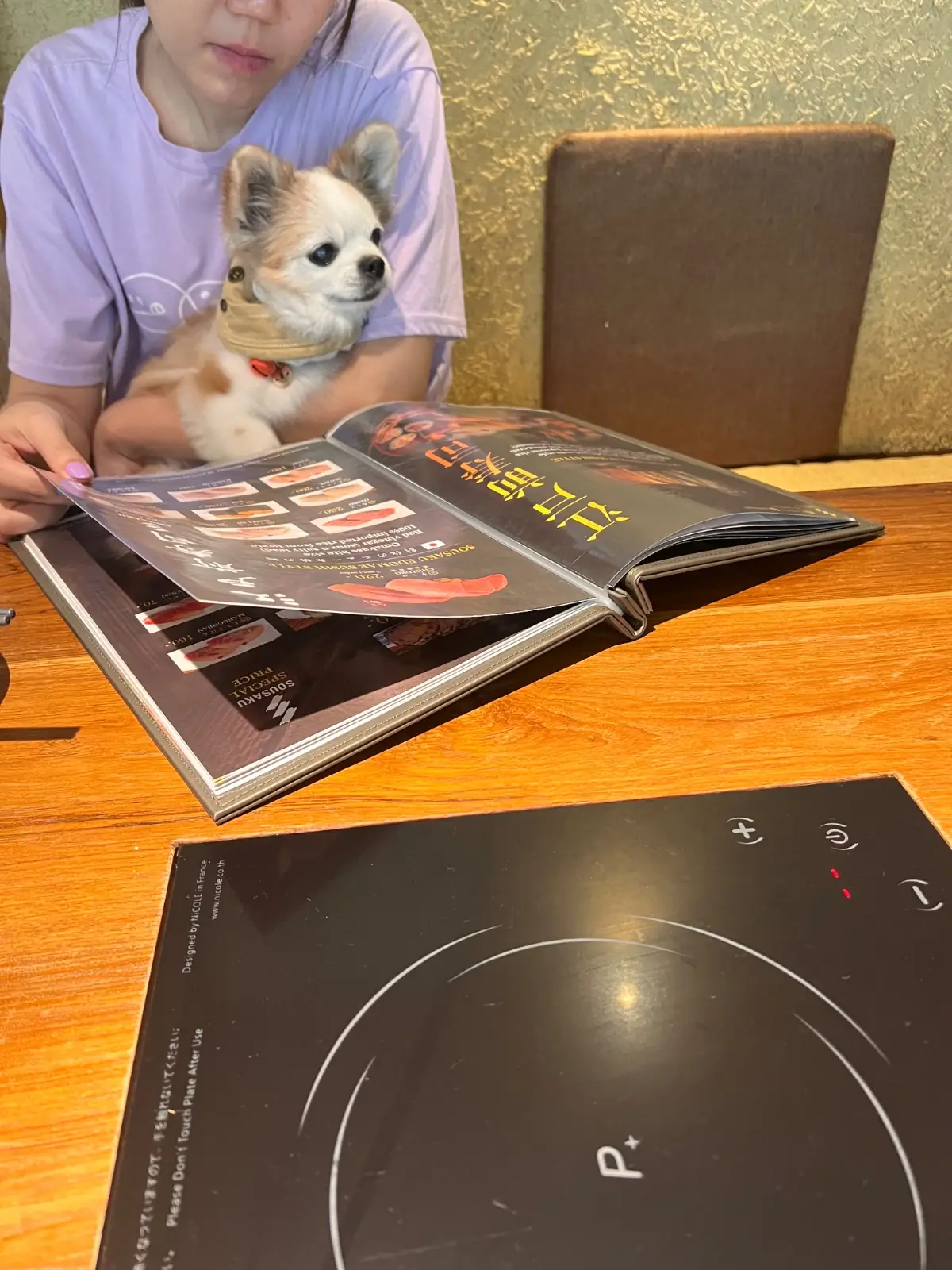 Sousaku pets image 2