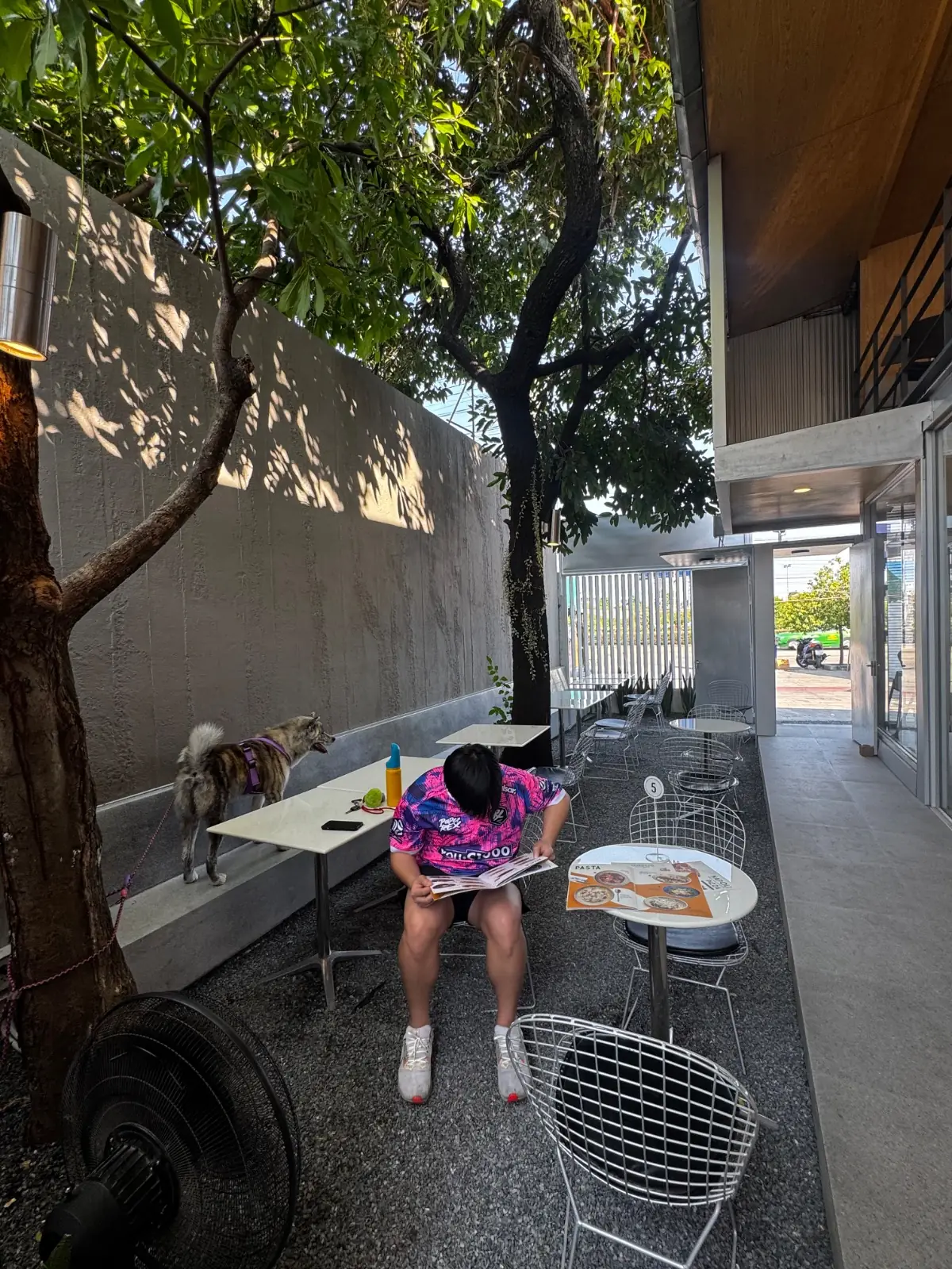 Topdog Coffee Eatery ambiance image 1