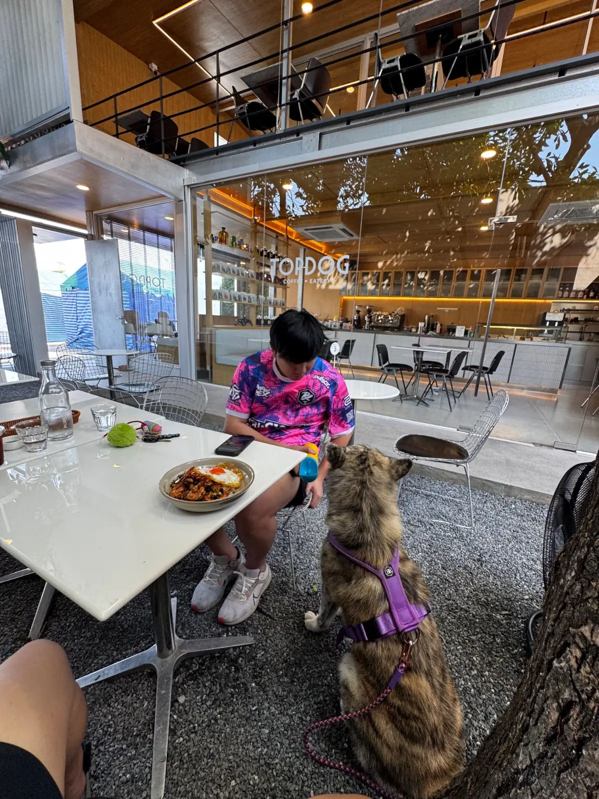 Topdog Coffee Eatery pets image 2