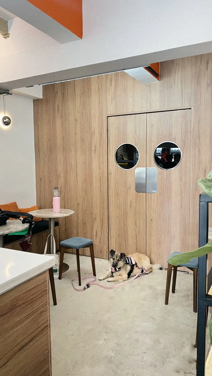 Func & Co. overall image 1